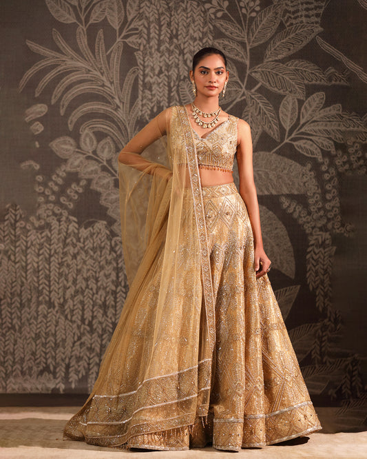 The Gold Tissue Lehenga