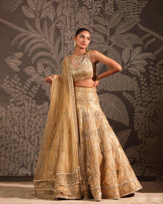 The Gold Tissue Lehenga