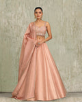 Rose Tissue Lehenga Set